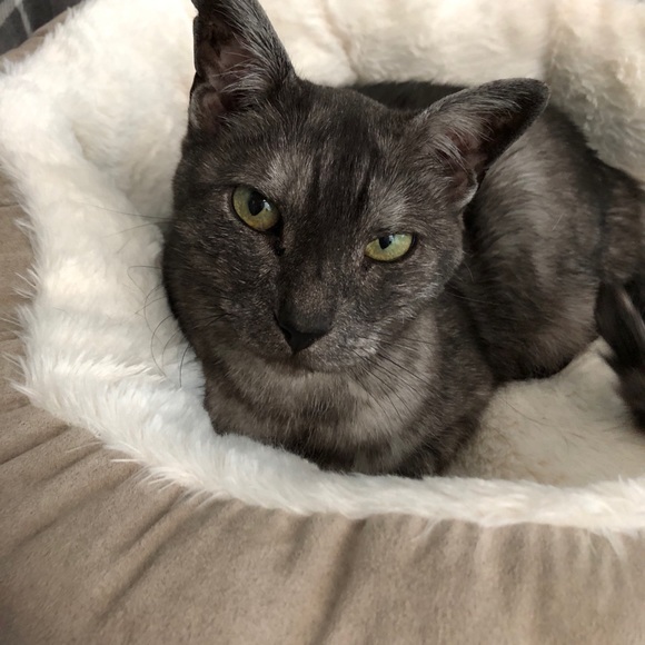 Meet your Posher, Jenna - Picture 2 of 5